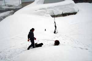 雪遊びが大好き